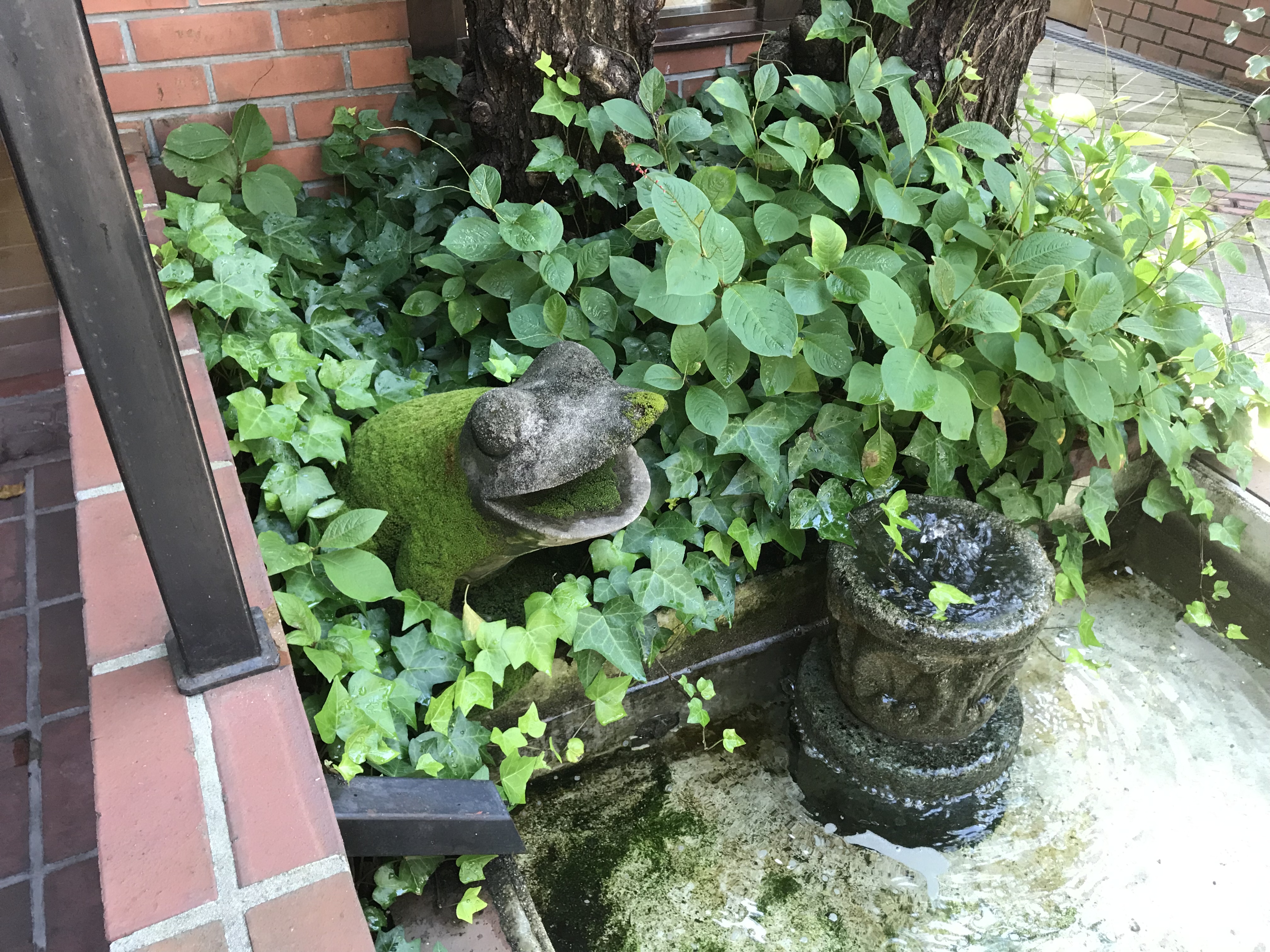 6B0FC423-CC0C-4142-93B5-F4E5B73704A4